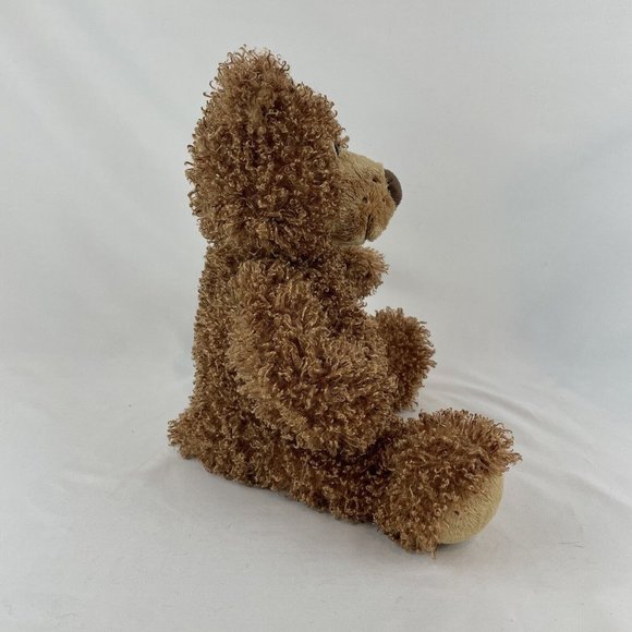Family Christian Stores Brown Teddy Bear 12” Plush Curly Fur James Fund w/Tags - Picture 4 of 10